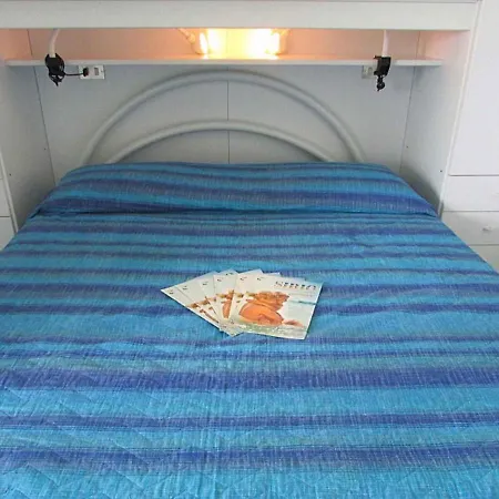 In 35374 * 비비오네