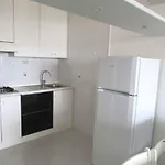 In 35374 ביביונה